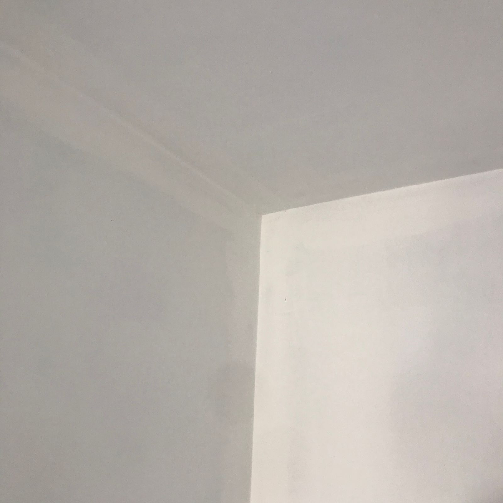 A mist coat on new plaster